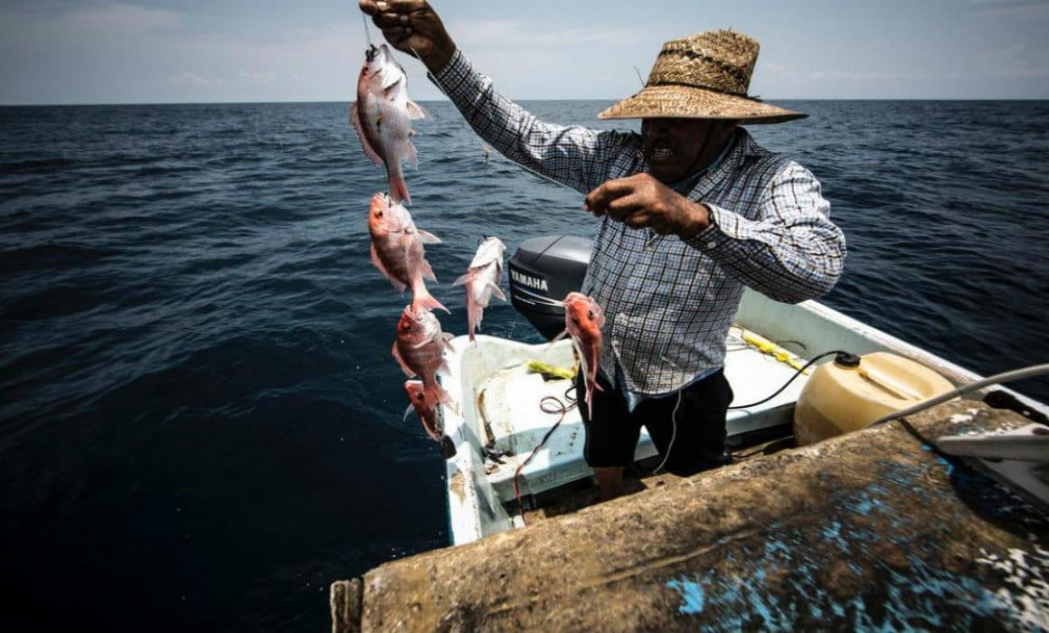 La historia oral de los pescadores más antiguos de Zihuatanejo: cuentos del mar y el viento